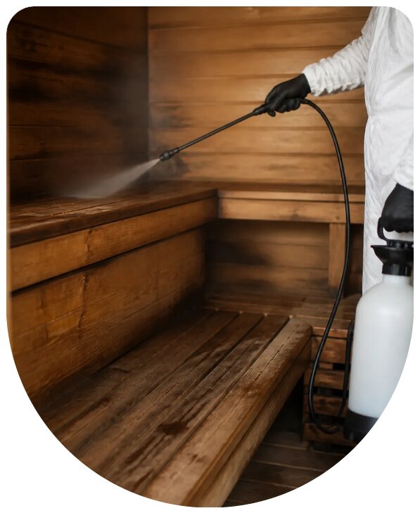 Профессиональная дезинсекция бани от насекомых в Нижнекамске